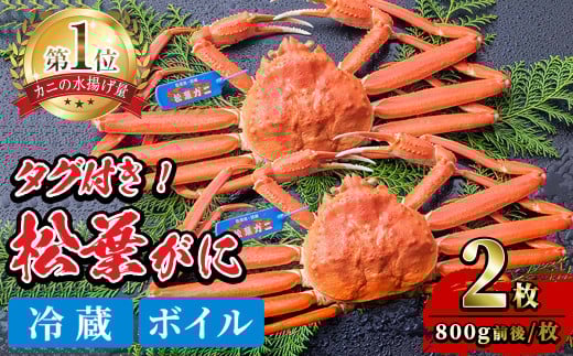 ＜平日着※指定日不可＞＜1月初旬～2月下旬発送予定＞＜期間限定・数量限定＞境港水揚げ 松葉ガニ(2枚)【sm-BP002-A】【フジキコーポレーション】