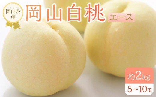 
                  岡山県産 桃 岡山白桃 2026年 エース 約2kg（5～10玉）【白桃 桃 もも 果物 フルーツ 新鮮 岡山県産 おすすめ 人気 ギフト 岡山県 岡山市】
                