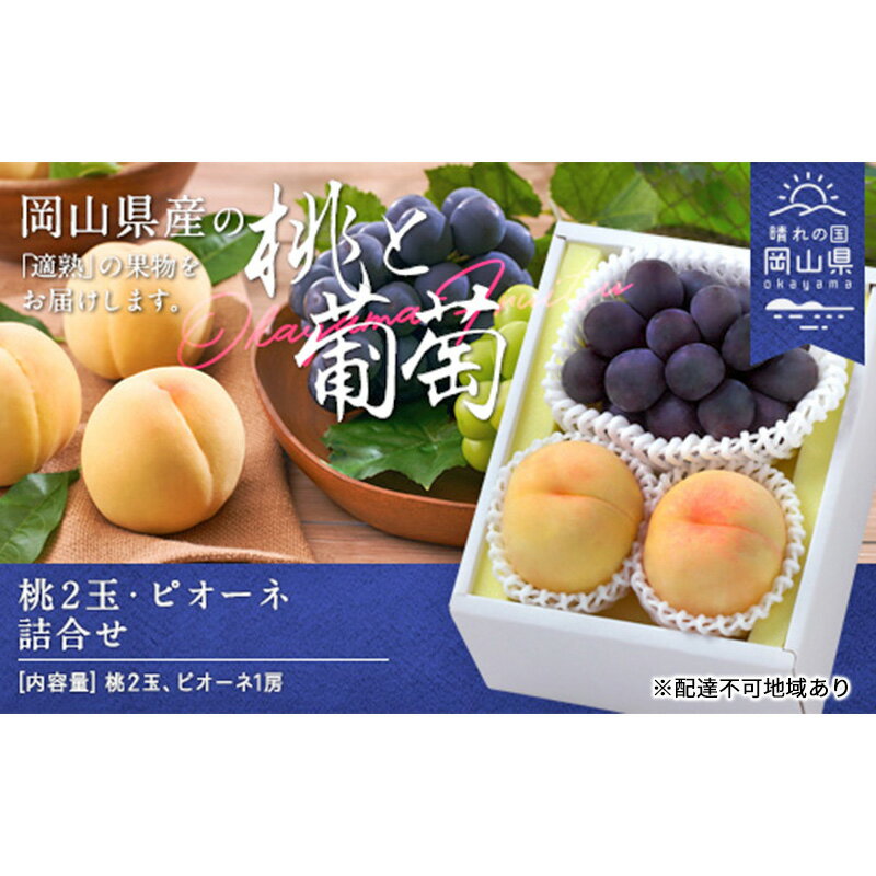 【ふるさと納税】桃 ぶどう 2026年 先行予約 果物 詰合せ 白桃 晩生種 2玉 ニュー ピオーネ 1房 合計約1.0kg もも 葡萄 岡山県産 国産 フルーツ 果物 ギフト　お届け：2026年8月下旬～2026年9月中旬
