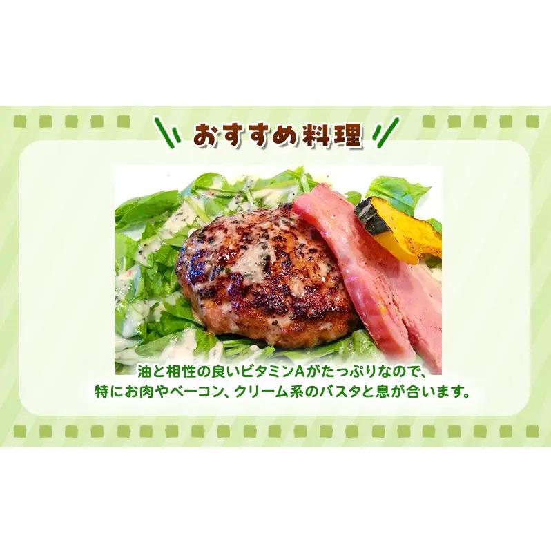 野菜セット ホワイトミニセルリー サラダほうれん草 野菜セット【計12袋 セルリー5袋 ほうれん草7袋】