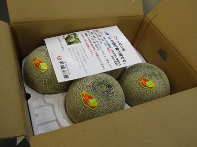 【先行予約】クインシーメロン 4玉入り 合計約5kg【2026年4月中旬〜5月中旬頃発送予定】