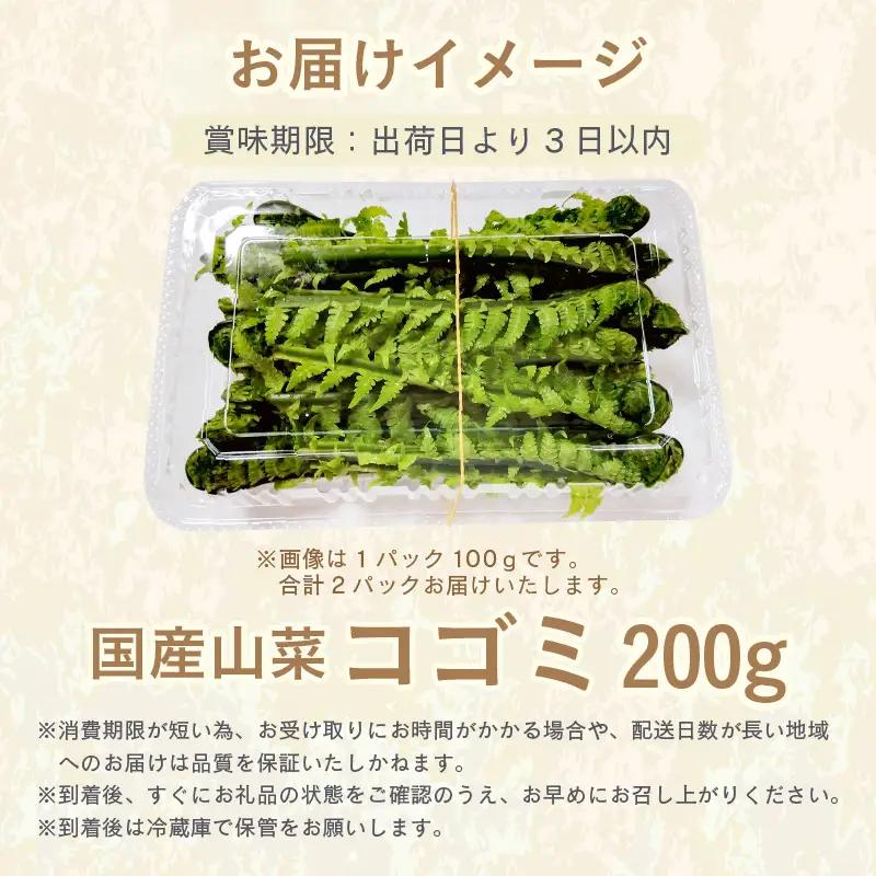 【先行予約】【季節限定】国産山菜 コゴミ 美浜町の春をお届け【2027年3月下旬以降順次発送予定】【こごみ  山菜 】 [m47-a025]