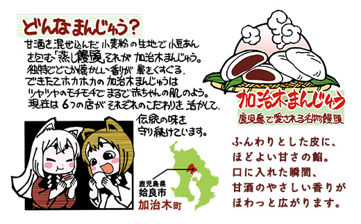 〈平日着希望〉 饅頭 詰め合わせ 加治木まんじゅう ざおう堂 計10個 セット つぶあん もちもち 和菓子 よもぎ・竹炭・紫芋・白ごま・人参 食べ比べ 蒸し饅頭 (a1048-A-01)
