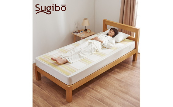 
            No.353 電気敷毛布 ／ 寝具 暖かい 冬 冷え予防 洗える 洗濯可能
          