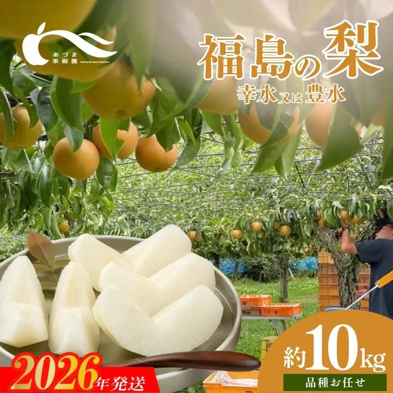 No.1769梨　品種おまかせ　(幸水又は豊水)約10kg【2026年発送】