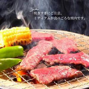 豊後牛もも焼肉用約500g A01076