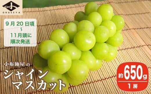 シャインマスカット 約650g 1房 ［小布施屋］ フルーツ 果物 くだもの ぶどう 葡萄 ブドウ 数量限定 クール便配送 長野県産 産地直送 先行予約 送料無料 2025 2025年発送 令和7年産 【2025年9月20日頃～11月頭にかけて順次発送】 ［A-303］