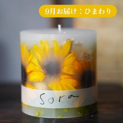 ふるさと納税 弘前市 《定期便全4回》配送月固定 ボタニカル キャンドル  全4個|24_sra-070104 |  | 03