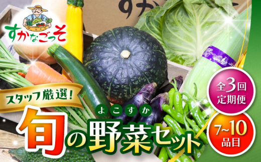 【全3回定期便】よこすか野菜セット すかなボックス / 野菜 やさい 野菜ボックス 野菜セット 野菜詰め合わせ 産地直送 野菜BOX おまかせ 食べ比べ 新鮮 季節 【JAよこすか葉山】 [ASCB002]