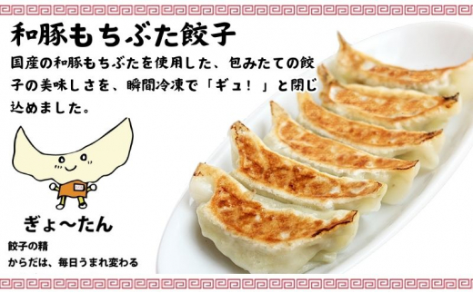 ぎょうざ 餃子 200個 ザーサイ 1袋 セット ギョーザ 肉汁 大きい 小分け パック 豚肉 ぶた 野菜 焼き餃子 gyouza 冷凍餃子 生餃子 冷凍 ごはん おかず 夕食 昼食 おつまみ 晩酌 