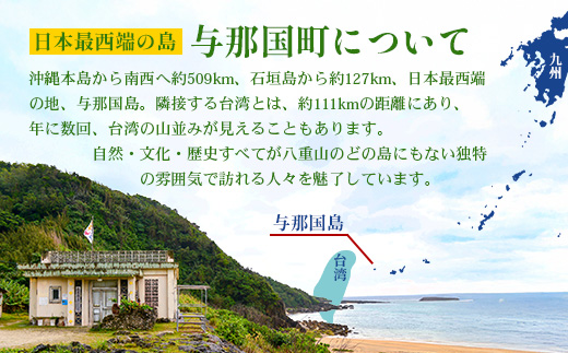 【返礼品なし】日本最西端の地 与那国島の未来の為の応援寄附(500000円) 国境の島 与那国町 返礼品無し Y008