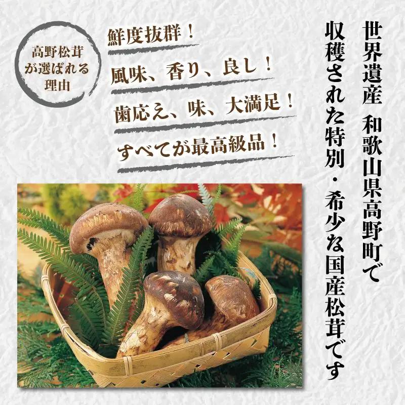 【2026年発送分】希少な国産松茸「高野松茸」200g【化粧箱入】香り・歯応え・味ともに最高級！