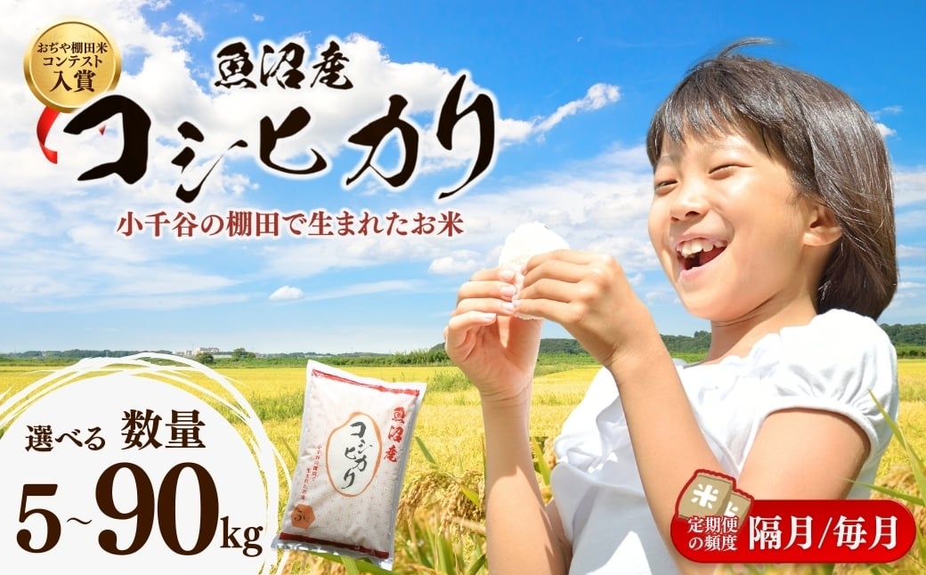 
                  【注文後に精米する新鮮発送！】棚田米コンテスト入賞 令和7年産 魚沼産コシヒカリ 選べる数量 5kg / 10kg｜新潟県産 こしひかり お米 白米 精米したて 寒暖差 雪解け水 甘み 生産者厳選 数量限定 小千谷市 ブランド米【0002-RC01SV00-03】
                