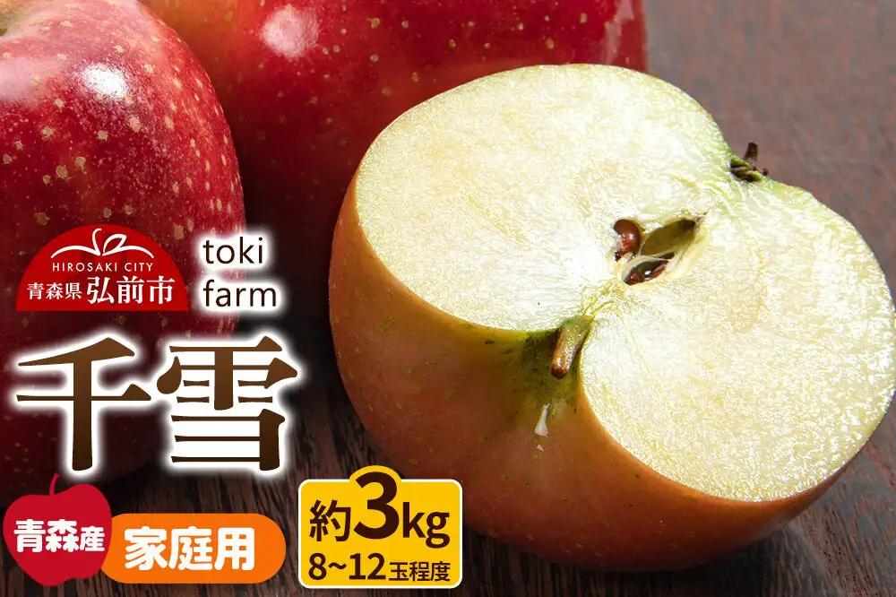 【26年11月発送】りんご 千雪 約3kg（8～12玉程度）家庭用 toki farm 林檎 アップル 果実 果物 美味