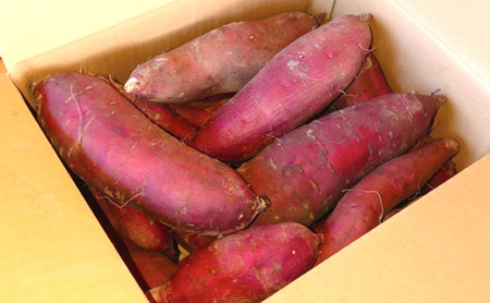 訳あり 熟成 さつまいも 5kgセット[ 不揃い 野菜 ] 食材 国産 国産野菜 紅はるか ふくむらさき 紅あずま 熟成さつまいも 