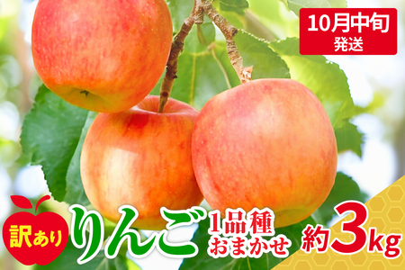 【2025年10月中旬発送】【訳あり】おまかせりんご約3kg（7～12個程度）おまかせ品種 |青森県五所川原市訳ありりんご 3kg家庭用3kg