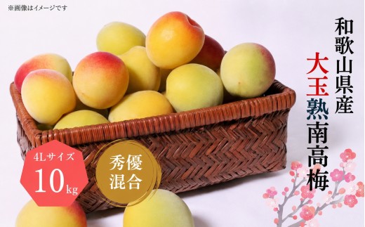 【梅干・梅酒用】 大玉 4Lサイズ約10kg 熟南高梅 秀優混合【art022B】