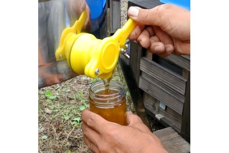 はちみつ 蜂蜜 南国指宿の花々から採れた 純粋 はちみつ 600g 鶴田養蜂場 IB047-001 はちみつ 蜂蜜