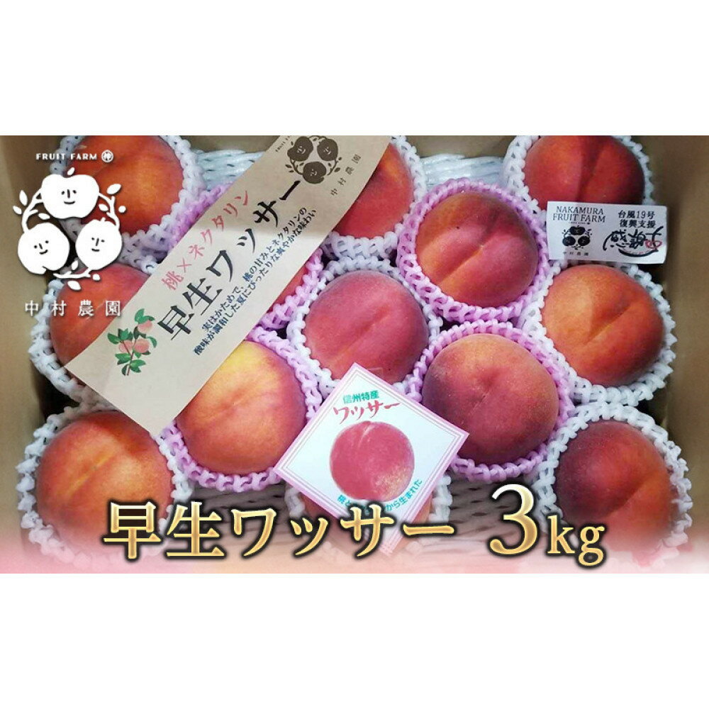 【ふるさと納税】【7月中旬発送 先行予約】早生ワッサー 3kg | 硬い桃 フルーツ 果物 旬の果物 旬のフルーツ