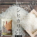 【ふるさと納税】 《 令和6年産 》 コシヒカリ 精米 5kg ～ 10kg ( 選べる 内容量 ) (茨城県共通返礼品 かすみがうら市) 米 ごはん もっちり 甘い コメ お米 白米