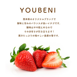 【2月発送】熊本限定品種 イチゴ ゆうべに 約1000g （250g×4パック）| フルーツ 果物 いちご 苺 熊本県 玉名市