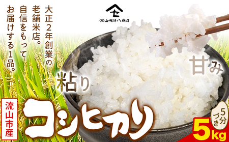 コシヒカリ 米 5kg  新川耕地 5分搗き