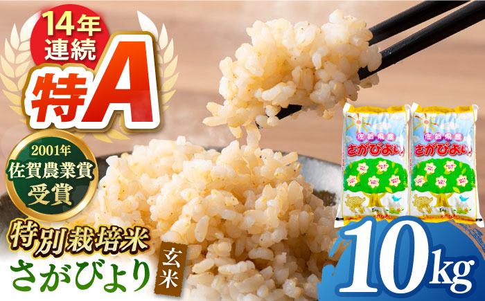 【特別栽培米】令和6年産 新米 ももちゃんちのお米 さがびより 玄米 10kg【ももさき農産】 [HCG005]