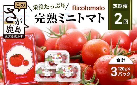 【2回定期便】【先行予約】【2026年1月から出荷】完熟ミニトマト 【少量パック】120gx3p　たにぐちファーム 完熟ミニトマト 360g とりこになるトマト 野菜 とまと トマト リコピン 佐賀産 佐賀県 鹿島市　C-148