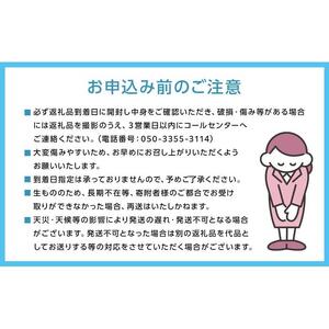 岡山冬桃がたり6～9玉 約1.3kg 秀品 化粧箱入り【2026年秋発送】 ｜ 桃