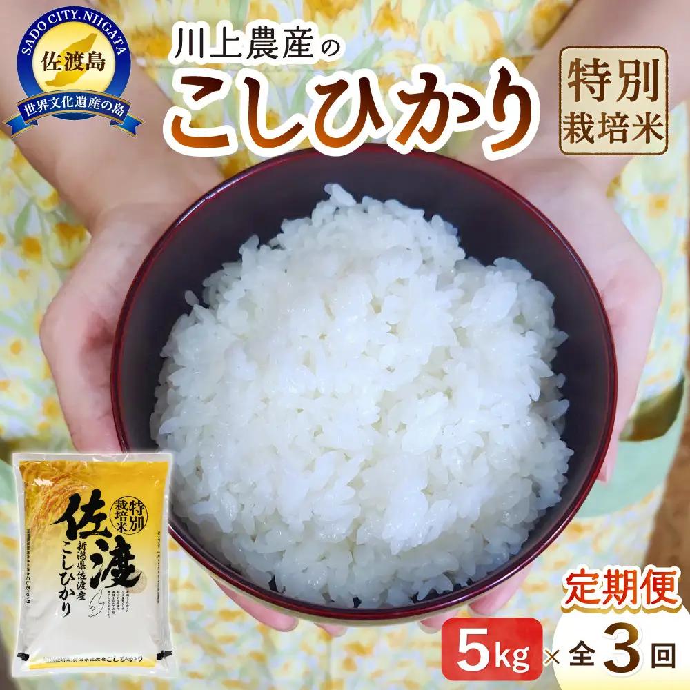 【レビューキャンペーン実施中！】令和7年産 佐渡 川上農産のコシヒカリ 定期便（5kg×全3回）