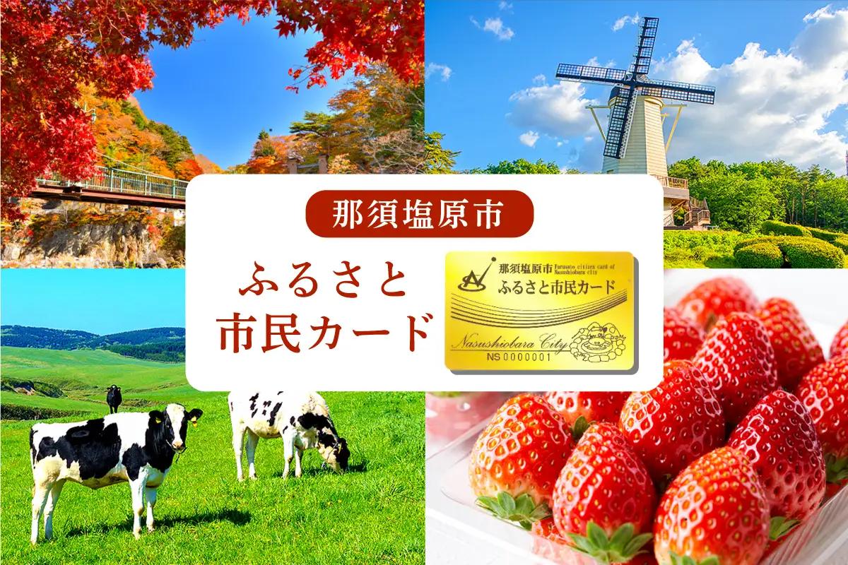 那須塩原市　ふるさと市民カード【 体験 チケット 栃木県 那須塩原市 】 ns056-001