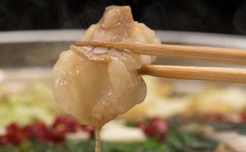 【カット野菜付き】くまもと阿蘇あか牛もつ鍋セット(2～3人前)