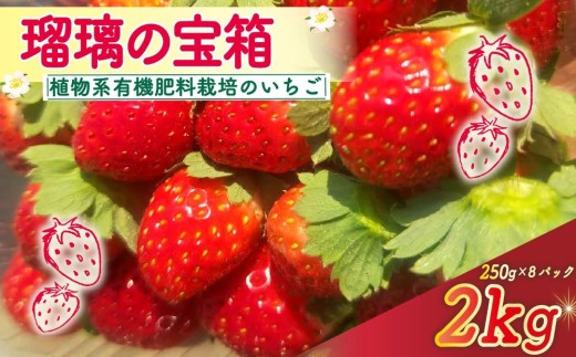 【植物系有機肥料のいちご】 瑠璃の宝箱 いちご 計2kg 250g×8パック 《2026年2月～5月発送》 先行受付 有機 有機JAS 植物系有機肥料 イチゴ 苺 オーガニックイチゴ ストロベリー ベ