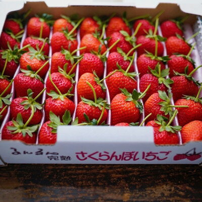 【ふるさと納税】大切な方へイチゴで想いを届ける!「品種:恋みのり(2L以上)」【配送不可地域：離島】【1520017】