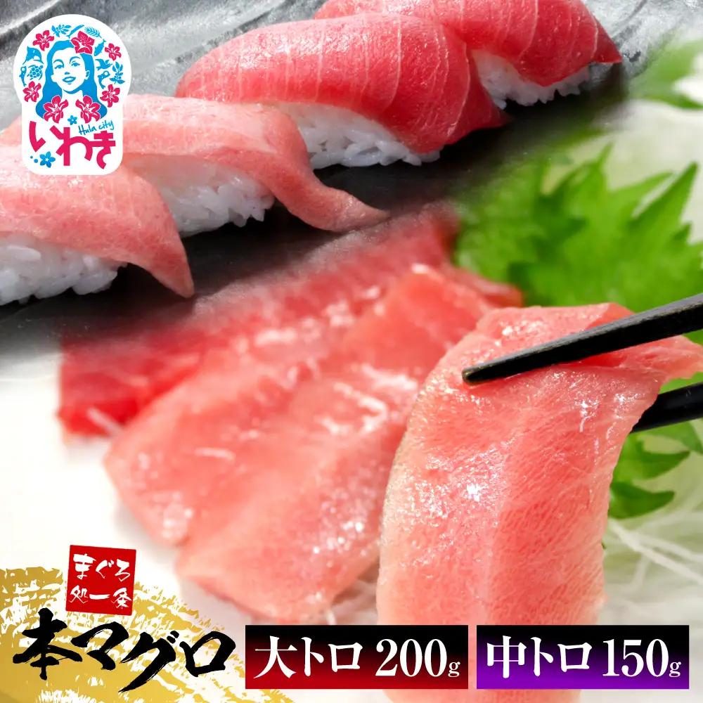 本マグロ 大トロ 中トロ セット 350g【まぐろ】 大トロ