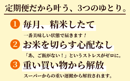 【定期便6回】丹波美人 白米 10kg（5kg×2）×6回 / 米 白米 定期便 綾部市 / 有限会社カメイ［BSDY052］