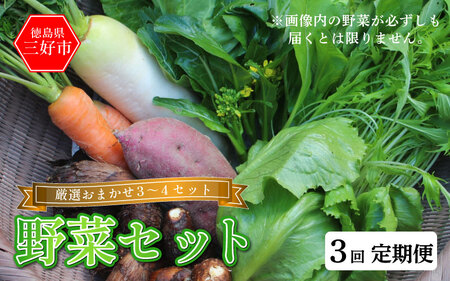 野菜 おまかせ セット 3～4種 旬の野菜 詰め合わせ 定期便 3回 野菜 野菜 野菜