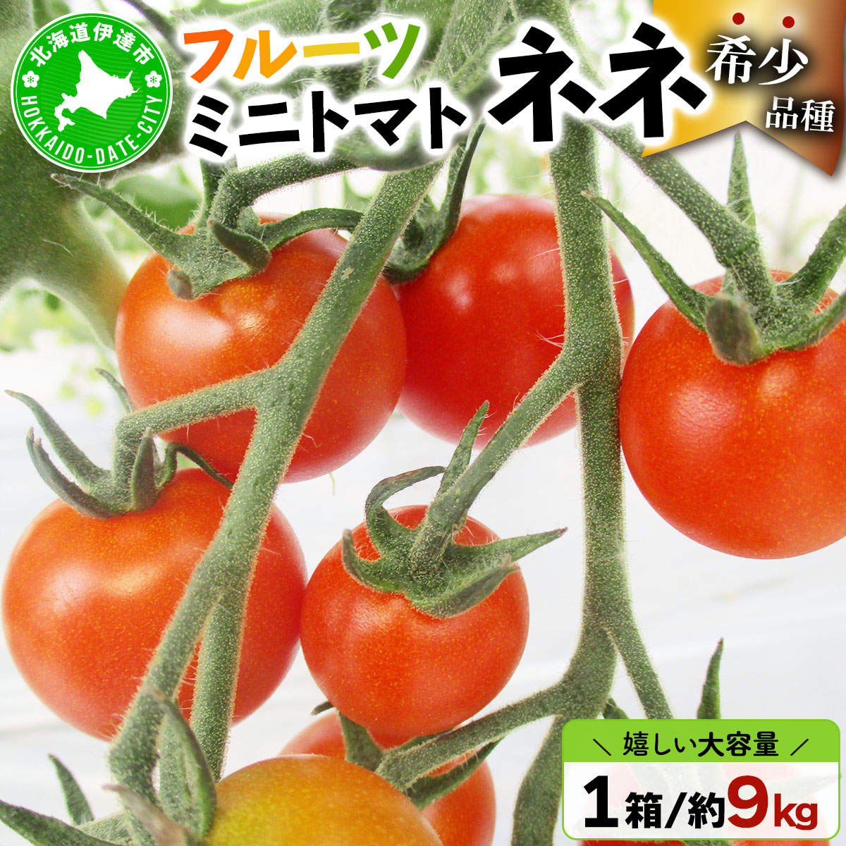  北海道産 ミニトマト ネネ 約9kg フルーツトマト 幻の 高糖度 ジューシー プチ トマト 甘い 濃厚 彩り 鮮やか 希少 お中元 お歳暮 暑中見舞い 帰省土産 ご自宅用 産地直送 大滝農園 送料