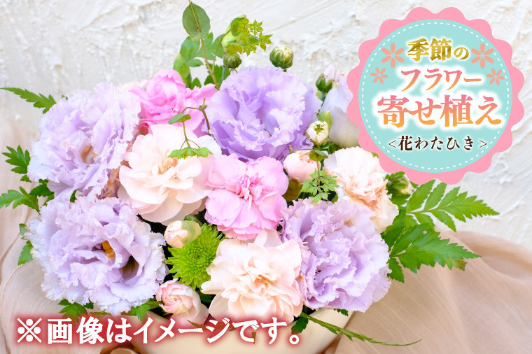 
            季節の寄せ植え＜花わたひき＞ (BY002)
          