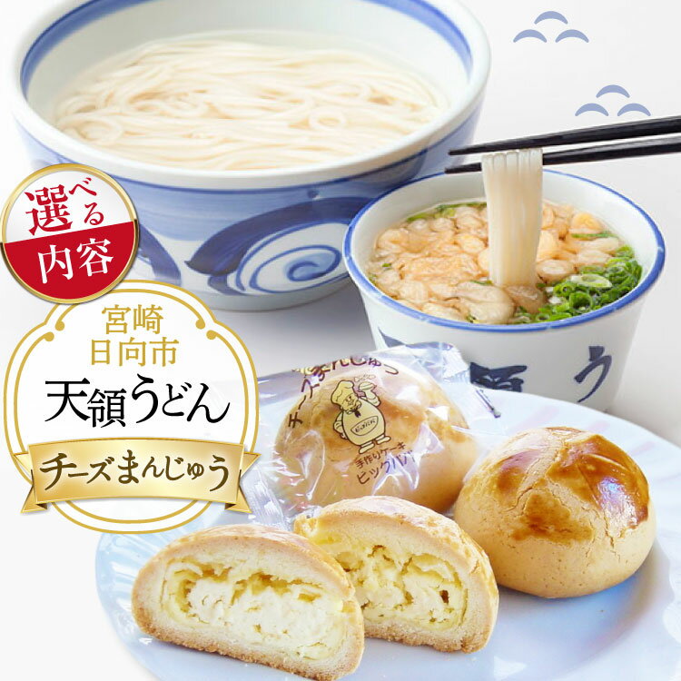 【ふるさと納税】 うどん セット 天領うどん 選べる発送内容 6人前 or 10人前 ( つゆ ねぎ 揚げ玉 付き) & チーズ饅頭 5個 [天領うどん本店 宮崎県 日向市 452061560] 生麺 釜揚げうどん 銘菓 まんじゅう 個包装 チーズ 饅頭