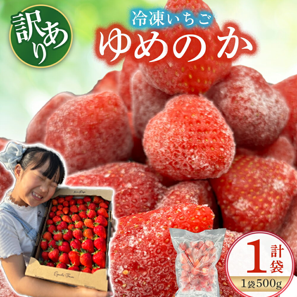 【ふるさと納税】LB21 訳あり！太良町産「ゆめのか」冷凍いちご500g×1袋 佐賀県 太良町