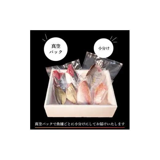 【スピード配送】 天然 鮮魚 詰め合わせ 朝獲れ直送 下処理済み 2~3種入り 500g以上 冷凍 刺身 魚種お任せ 水揚げ 海鮮 魚介 産地直送 新鮮 魚 鮮魚ボックス