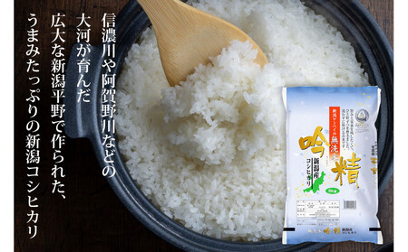 無洗米 吟精 新潟産コシヒカリ５kg 令和6年産 精米
