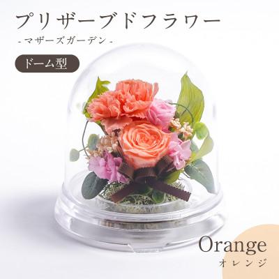 ふるさと納税 羽島市 プリザーブドフラワー ドーム型アレンジ 【マザーズガーデン(オレンジ)】