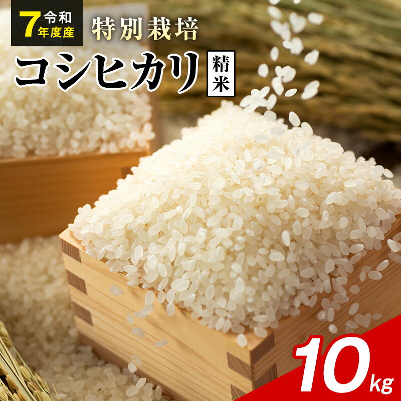 【ふるさと納税】令和7年産 特別栽培米 コシヒカリ 白米 10kg 静岡県産 色彩選別済 食に意識高い方へオススメ
