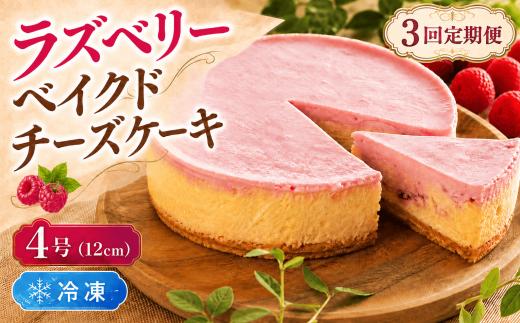 3回 定期便 ラズベリーベイクド チーズケーキ 4号 12cm 冷凍 スイーツ デザート ケーキ ベリー 洋菓子 お菓子 おやつ 手作り お取り寄せ ご褒美 ギフト プレゼント 贈り物 誕生日 記念日 パーティー 濃厚 クリーミー 酸味 爽やか サワークリーム クッキー バター 専門店 チーズケーキ工房 ちーず屋 数量限定 人気 おすすめ ランキング 3ヶ月連続 頒布会 高知県 安芸市