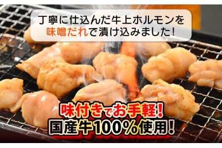 国産牛 上ホルモン 計500g（250g × 2袋）シマチョウ・ぷるぷる小腸のセット 旨みそダレ漬！【小分け バーベキュー】 [e03-a016]