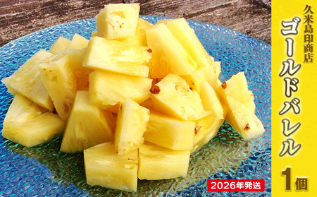 パイナップル【2026年発送】久米島印商店「ゴールドバレル」黄金パイナップル1個（1.3kg以上×1個） パイン フルーツ