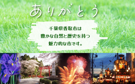 【千葉県香取市産】無農薬 生ブルーベリー1kg 夏季限定 KTRCQ001