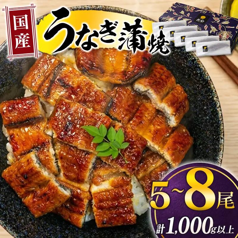 国産うなぎ！＜うなぎ 国産 うなぎ蒲焼 5～8尾 計1kg以上＞ふるさと納税 うなぎ 高級 長蒲焼 鰻 夏バテ防止 ウナギ 鰻 かば焼き 蒲焼き 丑の日 タレ 宮崎県産 国産 九州産 宮崎県 高鍋町 送料無料【TVで話題沸騰！】【MR-g-005-00-01】